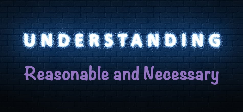 Strip lighting on a wall that reads Understanding. Words added below are Reasonable and Necessary