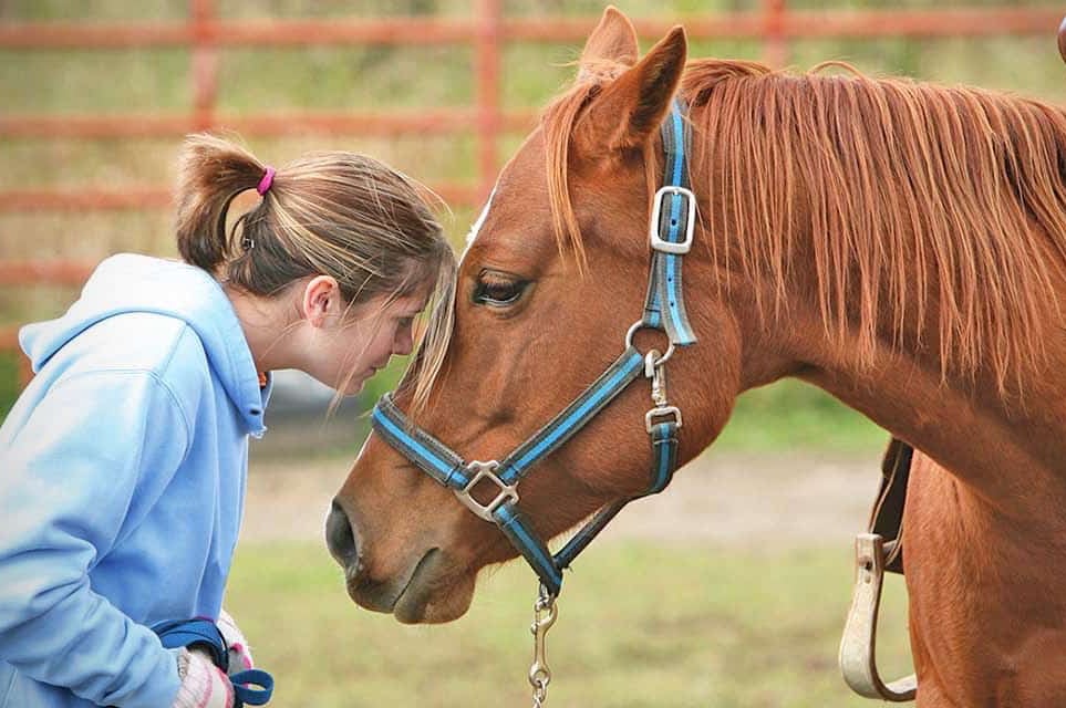 Girl leaning her forehead against the forehead of a light brown horse
