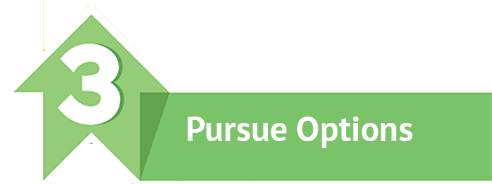 Step3 Pursue Options